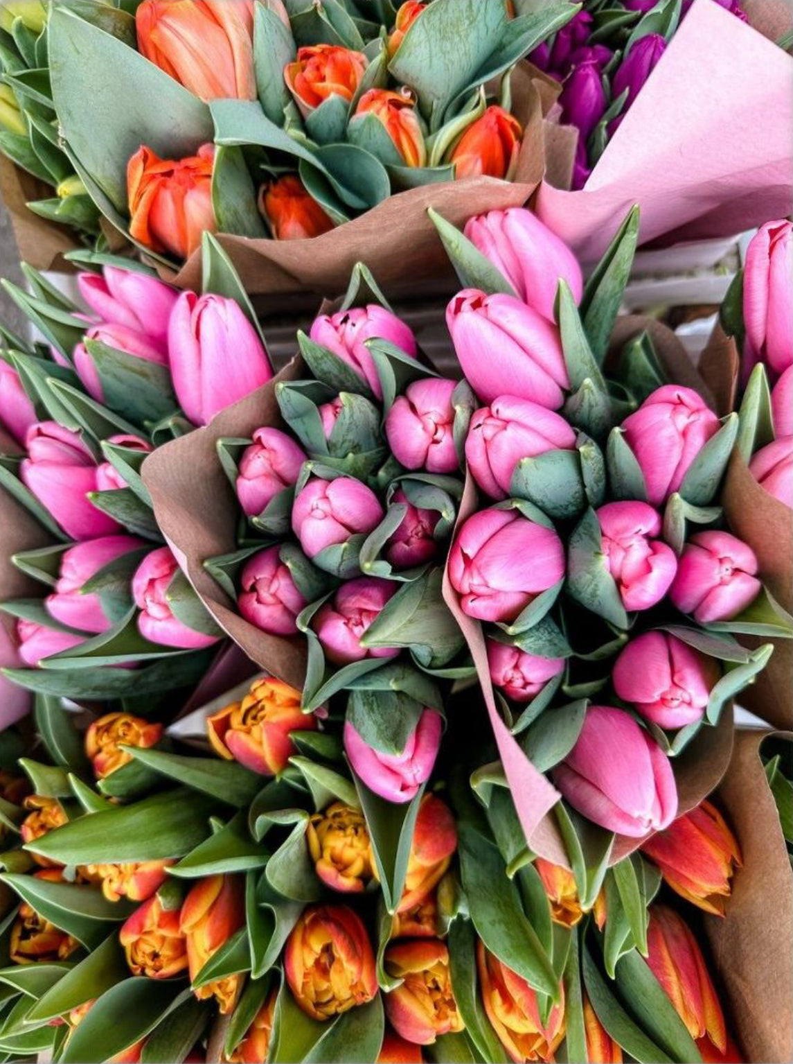 Tulips lucky dip