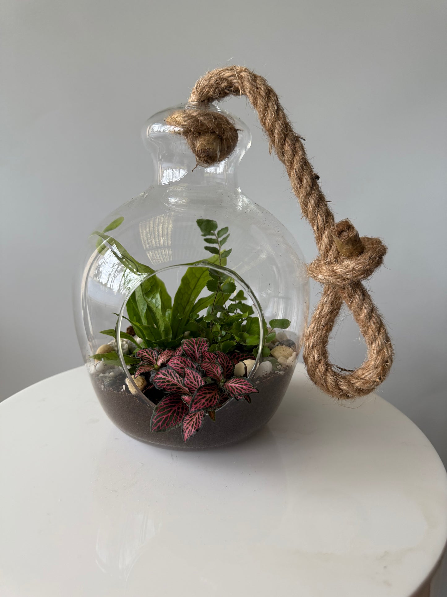 Hanging plant