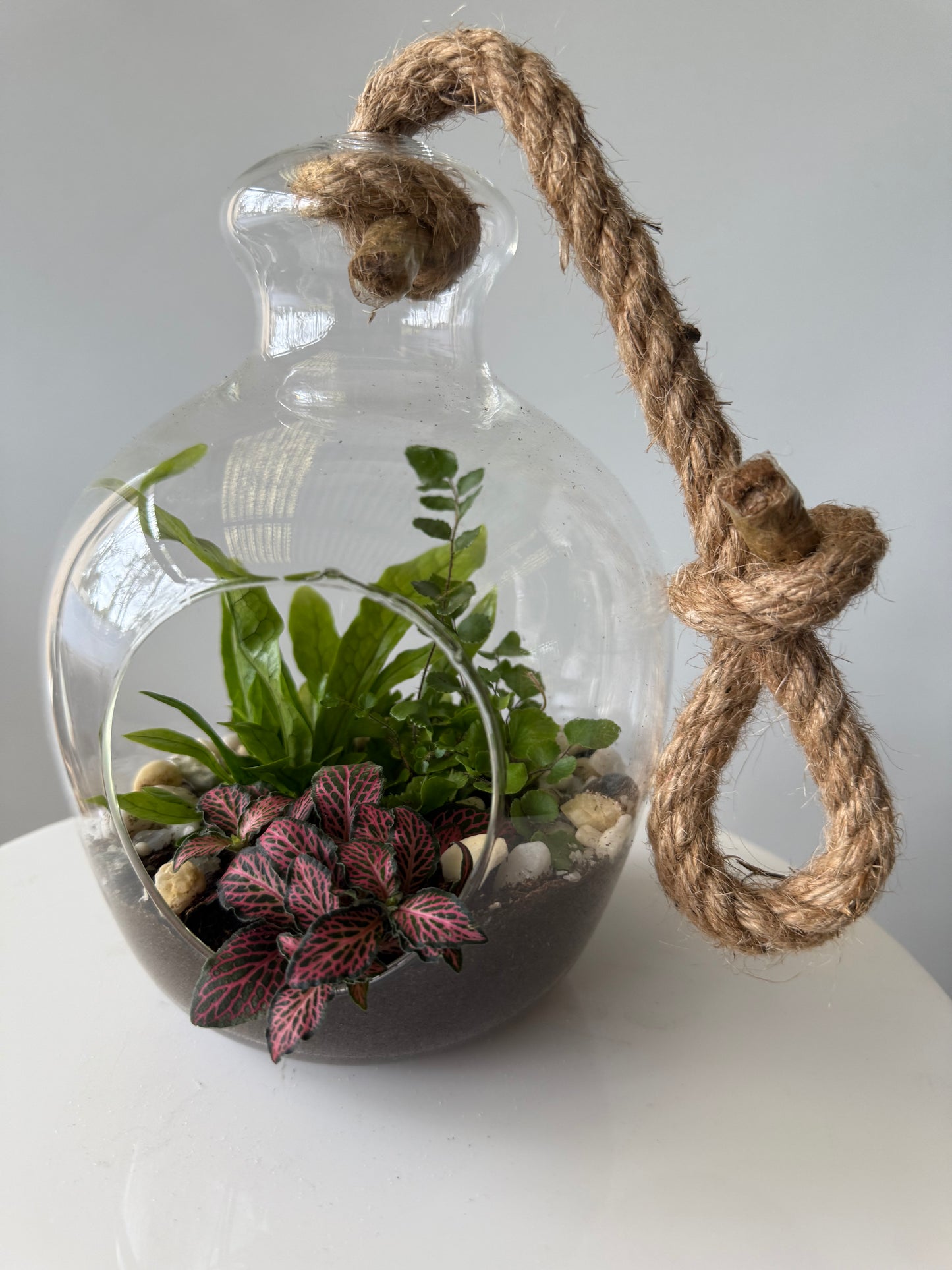 Hanging plant