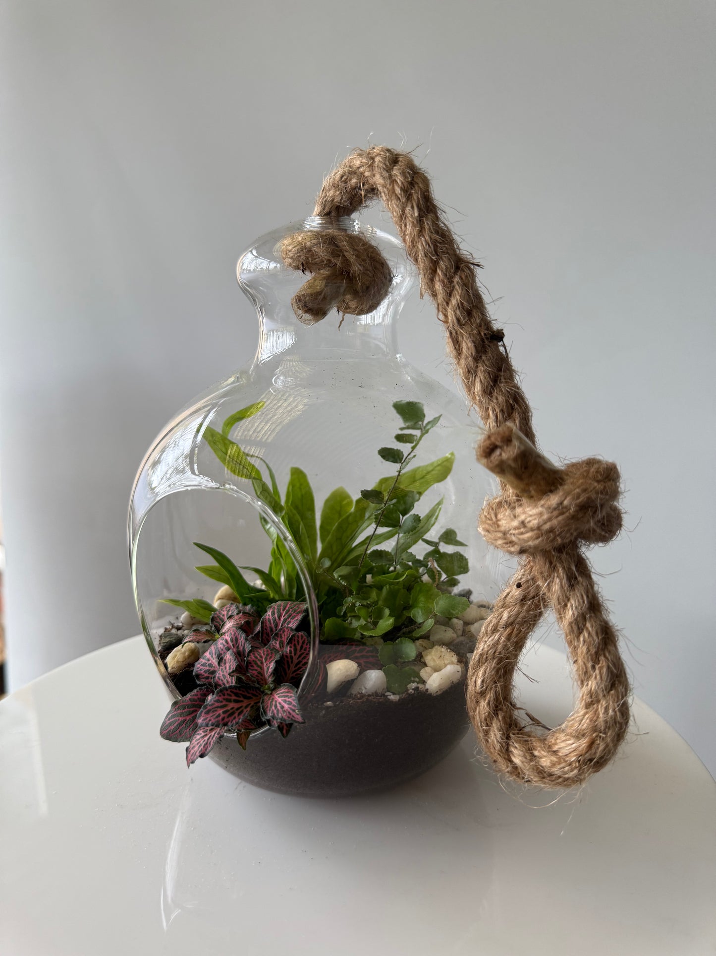 Hanging plant