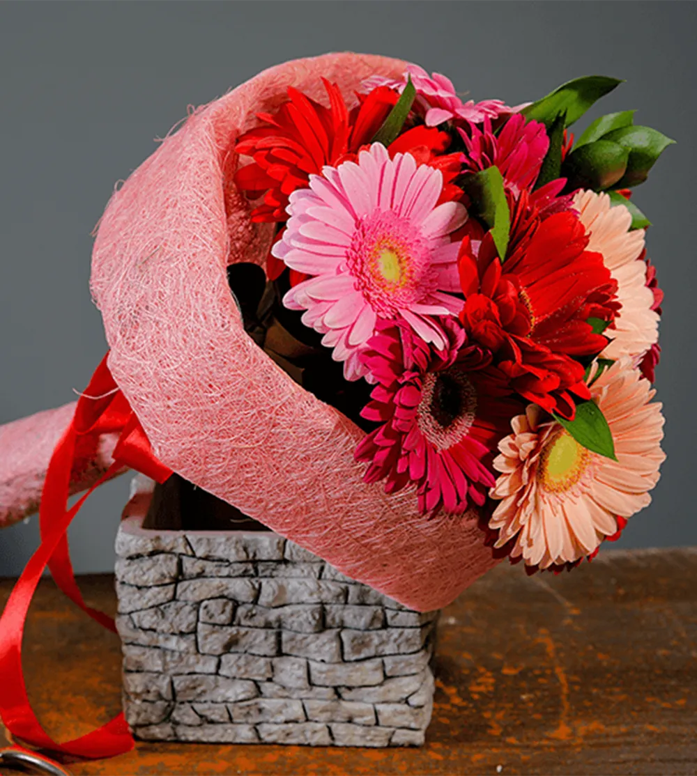 Exotic Gerberas