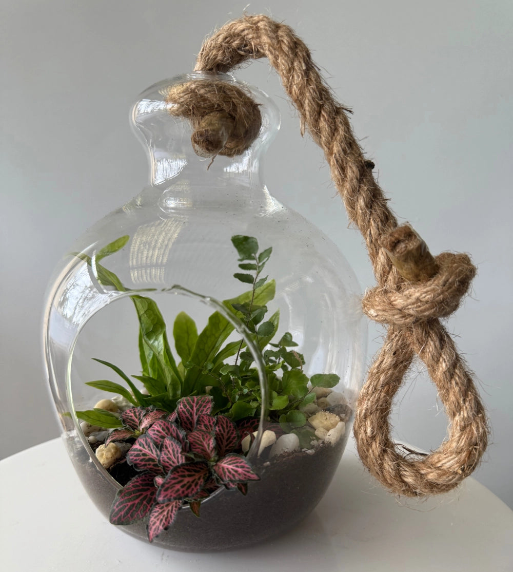 Hanging Plant