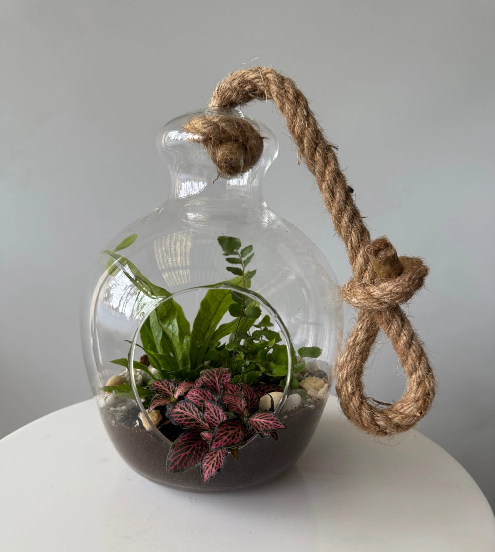 Hanging Plant