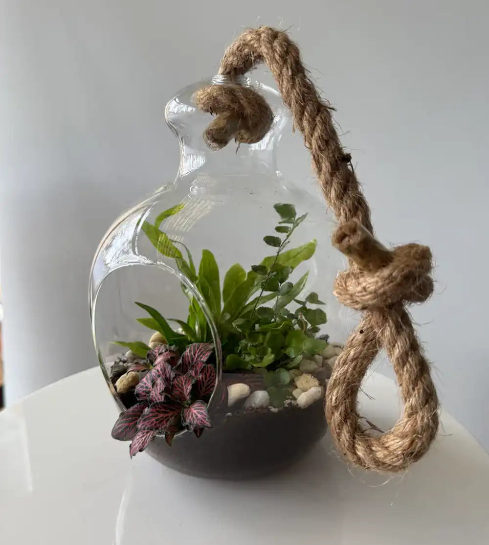 Hanging Plant