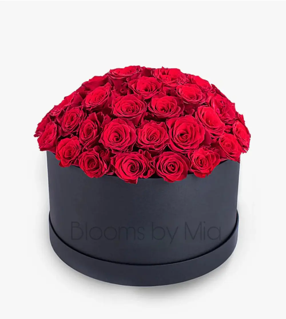 Hat Box - 50xstems