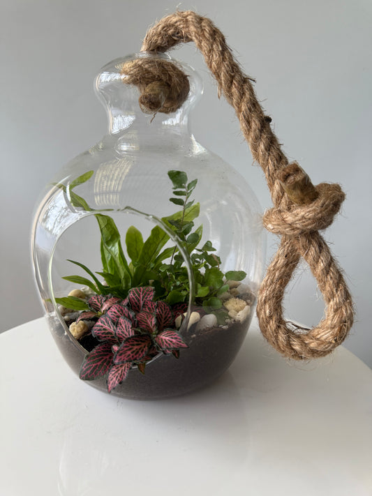 Hanging plant