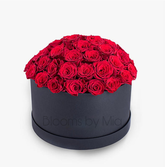 Hat box - 50xstems